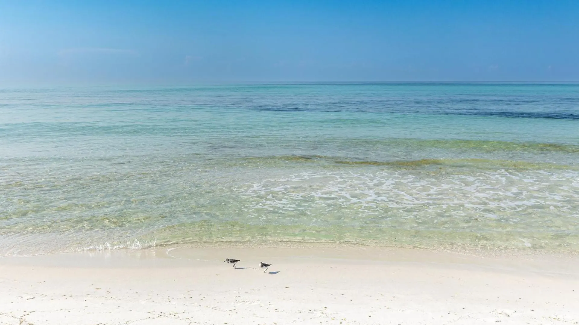 Oceania 106- By Holiday Isle Properties Destin