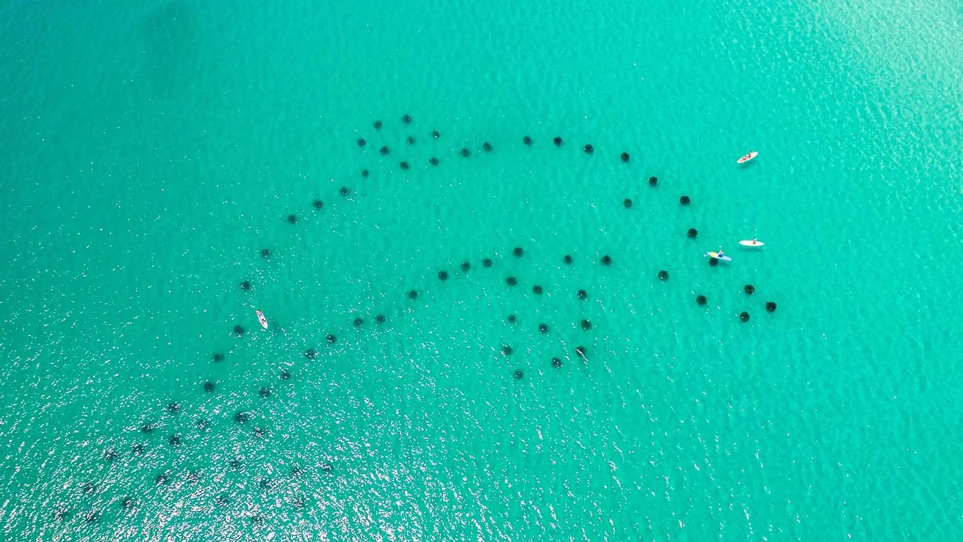 Oceania 106- By Holiday Isle Properties Destin United States